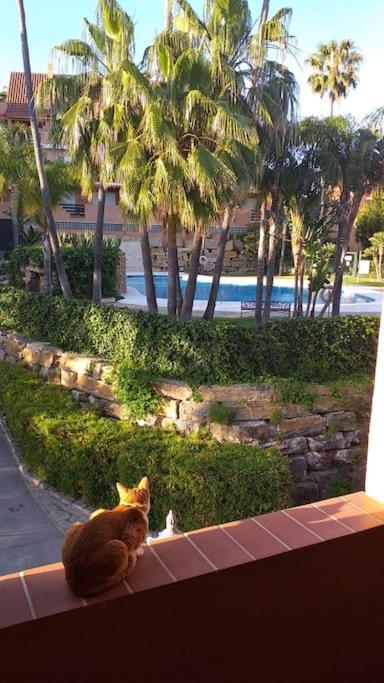 Planta Baja Cerca De La Playa Casares Costa Leilighet Eksteriør bilde